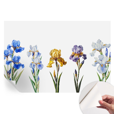 Tapet fotografic autoadeziv Flori de iris