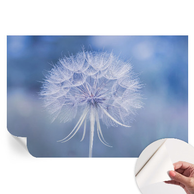 Tapet fotografic autoadeziv Delicatese albastre