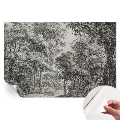 Tapet fotografic autoadeziv Peisaj forestier
