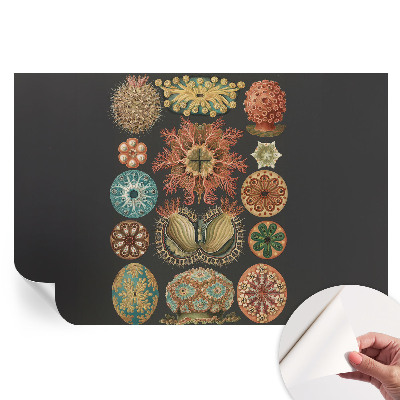 Fototapet modern pentru sufragerie cu design marin