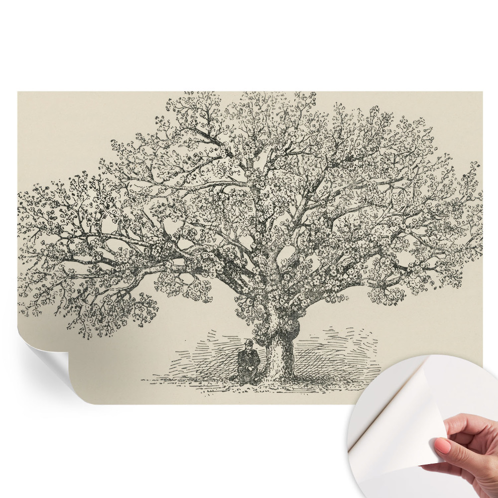 Fototapet autoadeziv pentru dormitor Ilustrație arbore