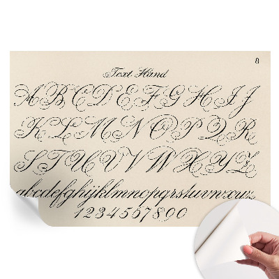 Fototapet modern pentru sufragerie Scrierea caligrafică