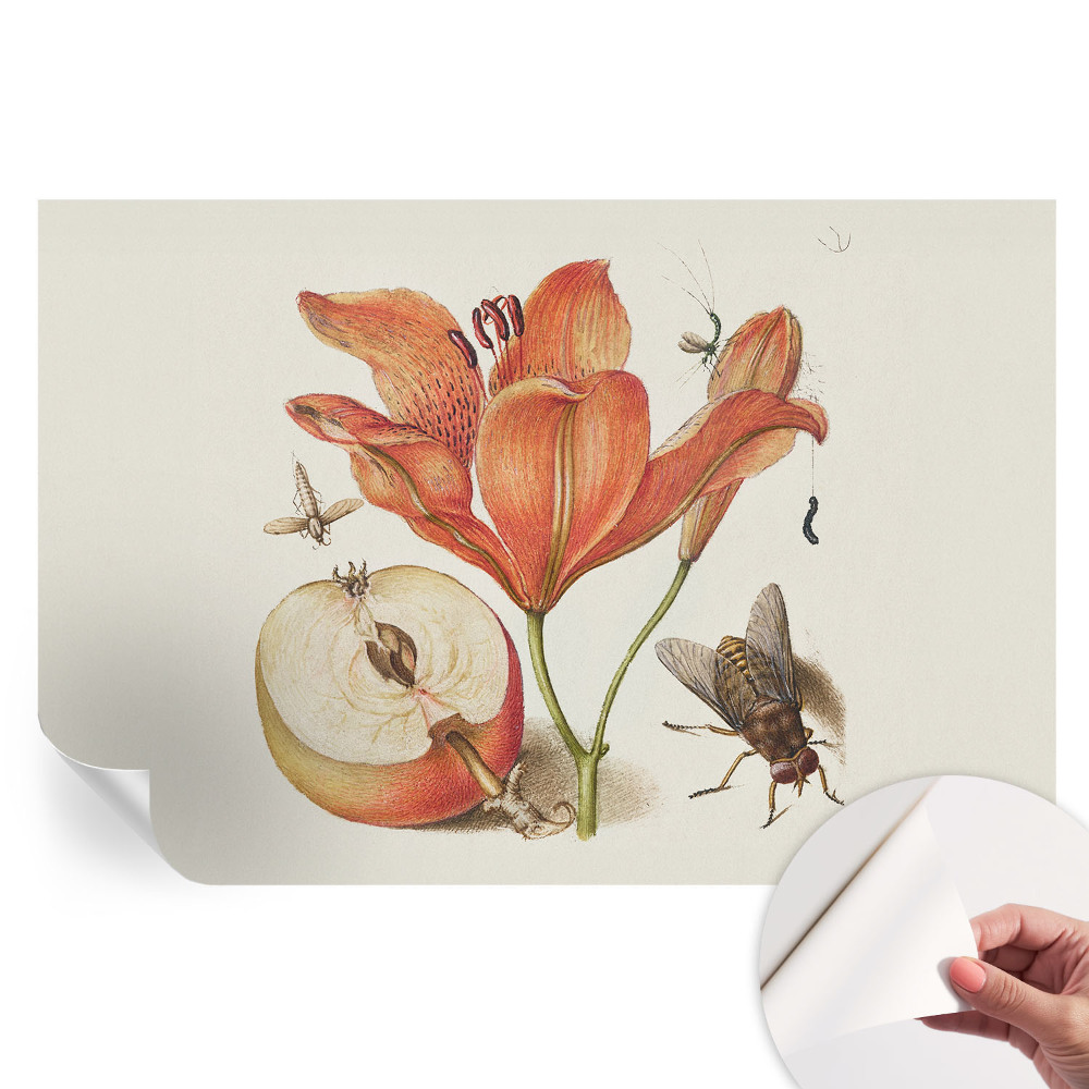 Fototapet modern pentru sufragerie Ilustrație botanică
