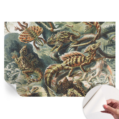 Fototapet autoadeziv Reptile exotice