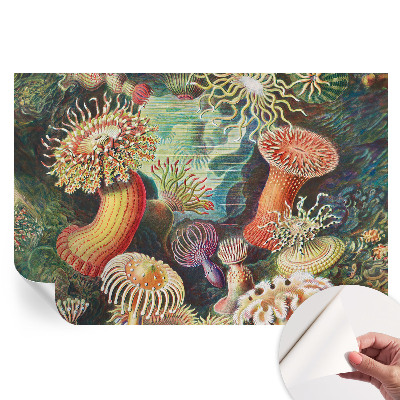 Tapet autoadeziv pentru camera de zi Anemone elegante