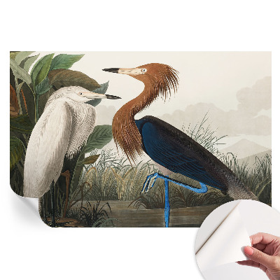 Fototapet autoadeziv Păsările din plante