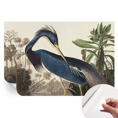 Fototapet modern pentru sufragerie Natură exotică