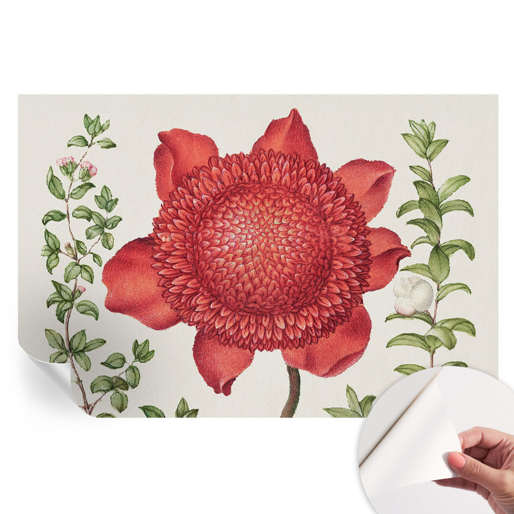 Tapet autoadeziv pentru camera de zi Eleganță florală
