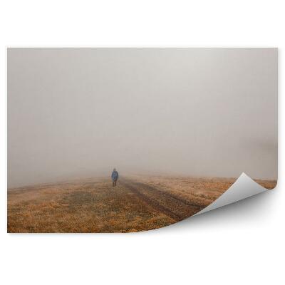 Decor fototapet Omul Degajând Calea Om Ceață