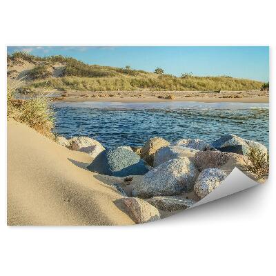 Fototapet perete Stânci Cer Nori Iarbă Ocean Plajă Dune