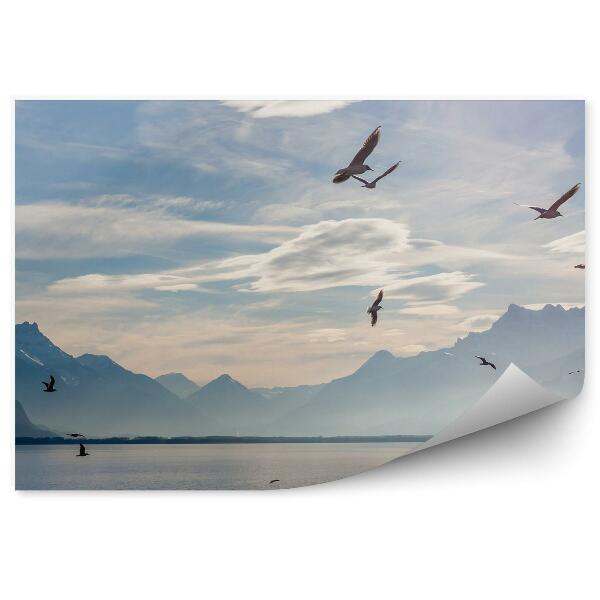 Fototapet pentru perete Alpi Lacul Geneva Cer Nori Păsări