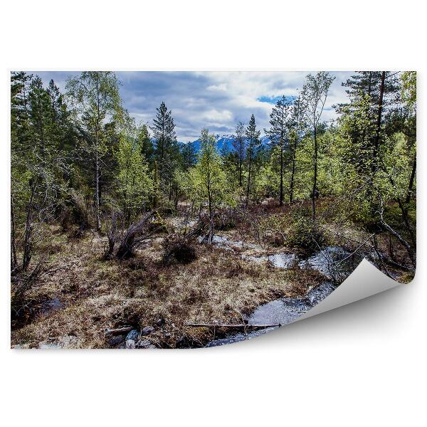 Decor fototapet Natura pădure pârâu munți