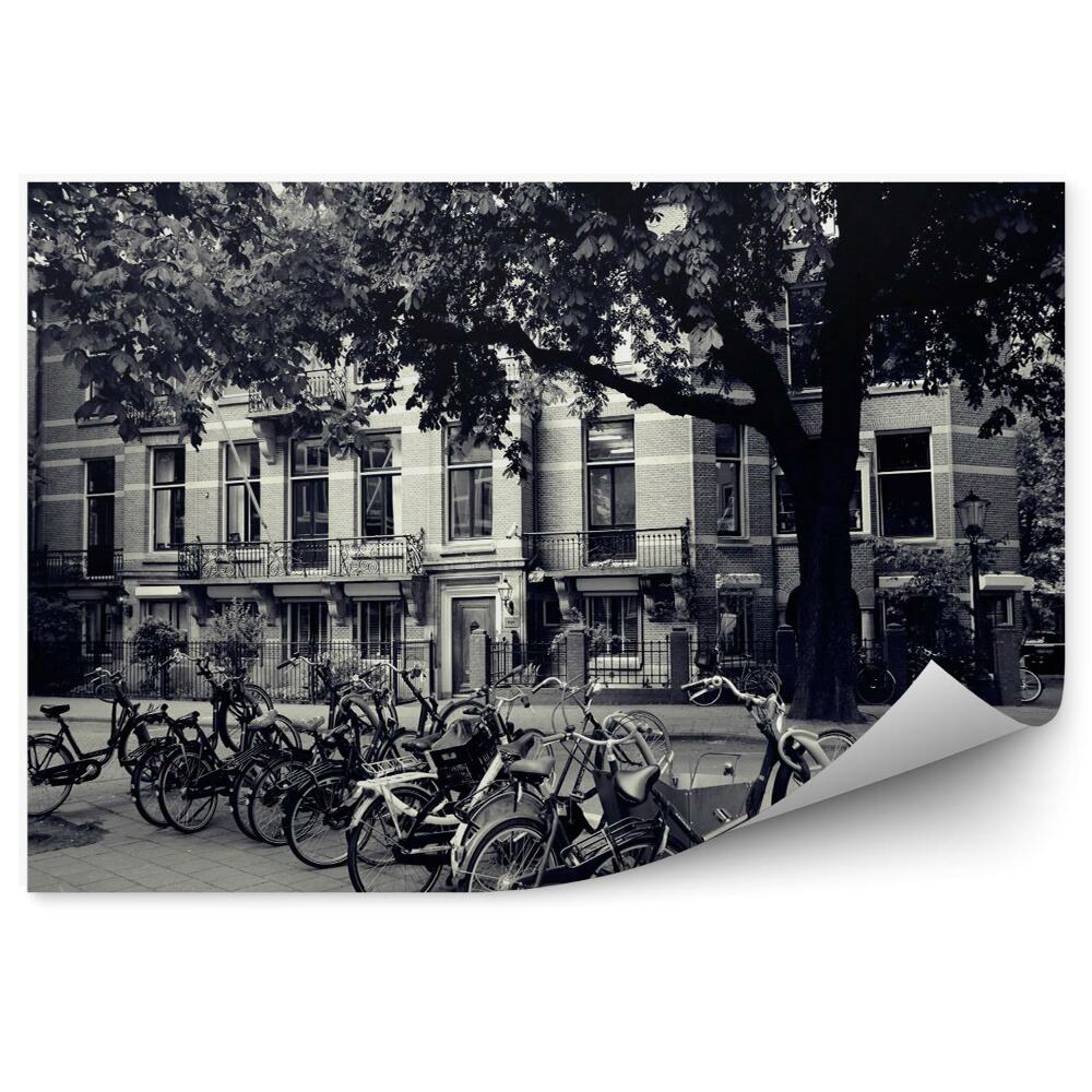 Decor fototapet Amsterdam Biciclete Alb-Negru