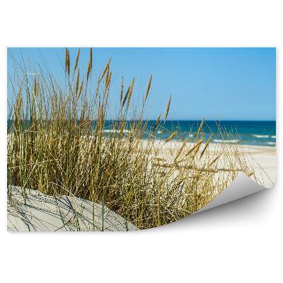 Decor fototapet Dune De Iarbă Plajă Marea Baltică Cer Łeba