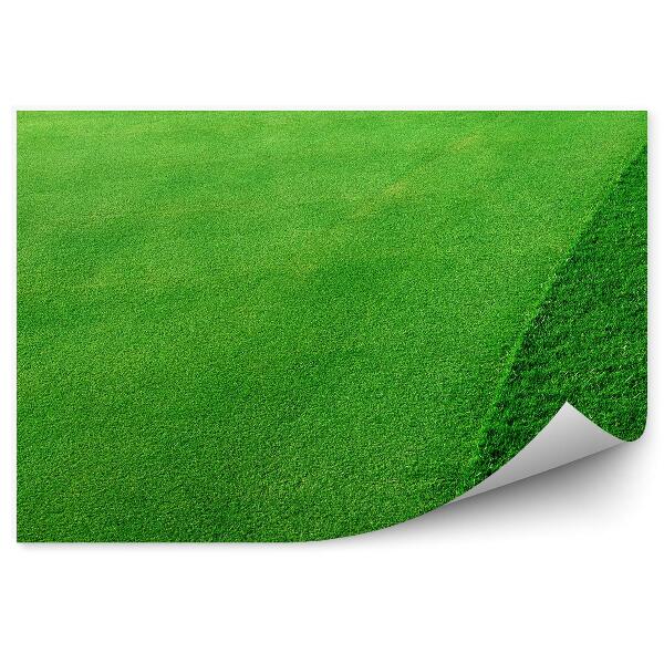 Fototapet pentru perete Teren De Golf Iarbă Verde Cosită