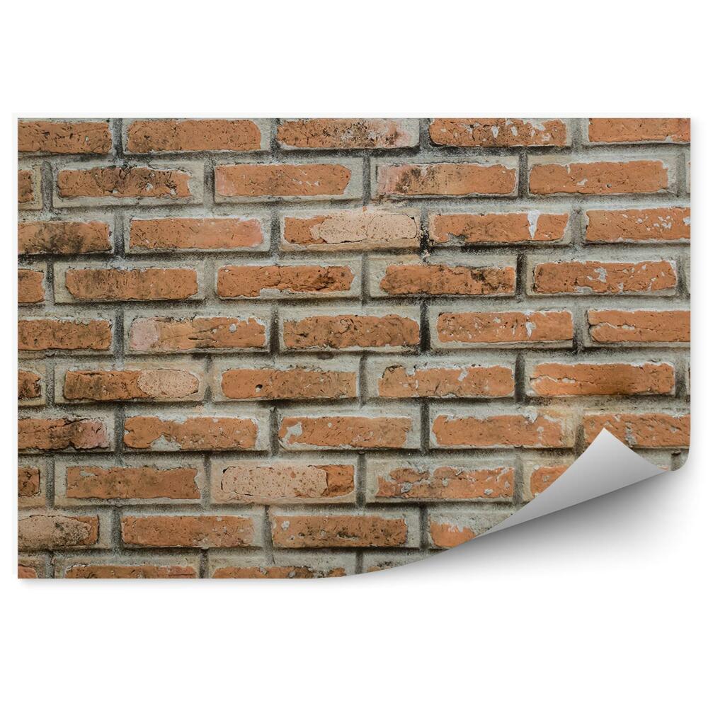 Fototapet Caramida Invechita