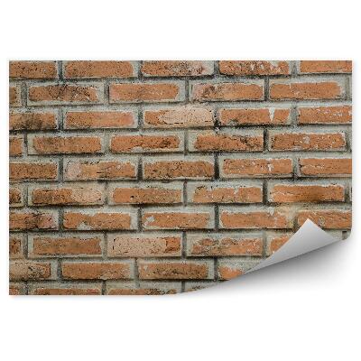 Fototapet Caramida Invechita