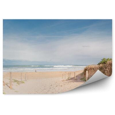 Fototapet pentru perete Plaja Iarba Dune Ocean Valuri Cer Nori Cioturi