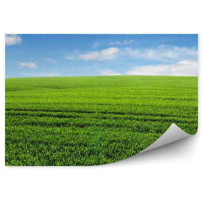 Fototapet Câmp De Iarbă Cer Nori