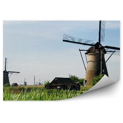 Decor fototapet Iarba verde a unui sat tradițional cu mori de vânt