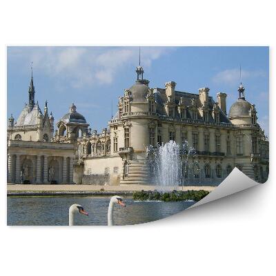 Fototapet pentru perete Fântâna castelului apă de lebădă