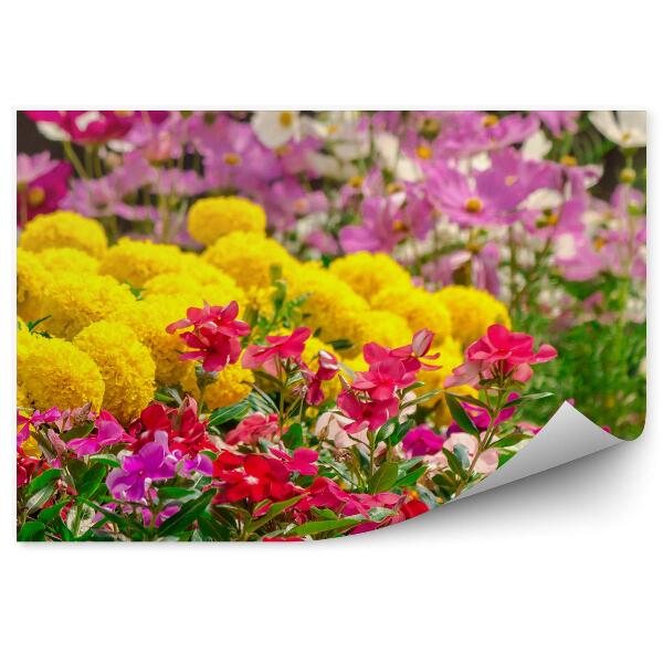 Decor fototapet Grădină De Flori Cu Paturi De Flori Multicolore