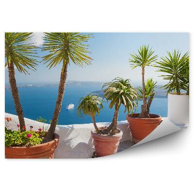 Fototapet vintage Palmieri Ghivece Cactusi Terasa Iaht Ocean Munti Cer Nori