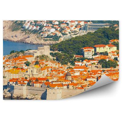 Fototapet perete Orașul zidurilor Dubrovnik găzduiește copaci