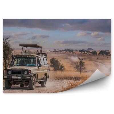 Decor fototapet Fum Praf Nisip Călătorie Safari Cer Înnorat