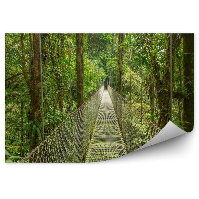 Fototapet pentru perete Pod suspendat cu protecție în pădurea densă
