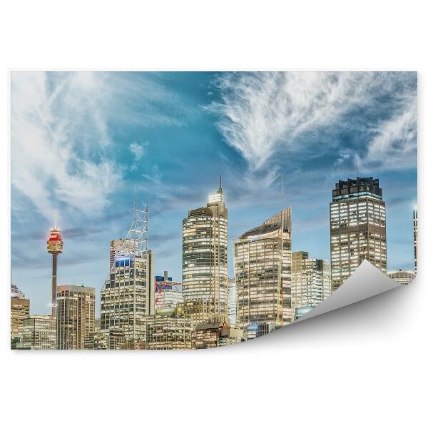 Decor fototapet Zgârie-Nori Copaci Cer Nori Sydney Lumini