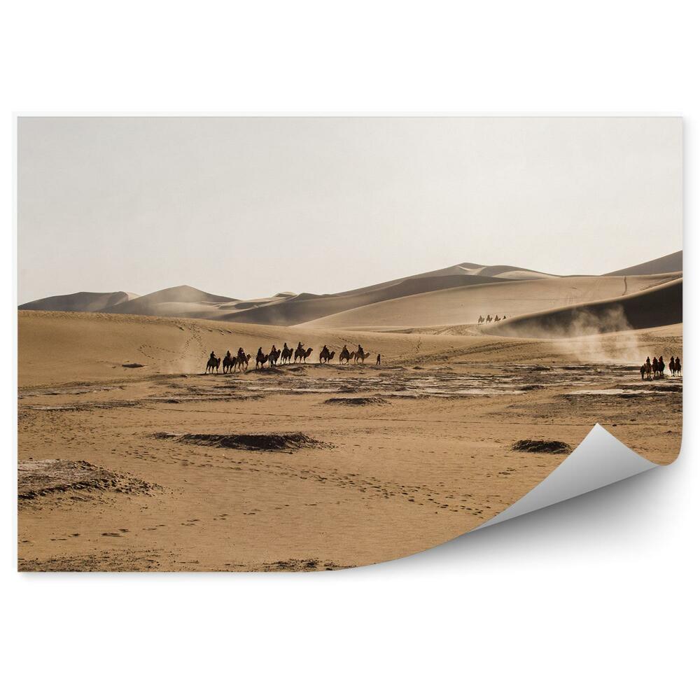 Fototapet Deșertul Gobi China Cămilele Cer