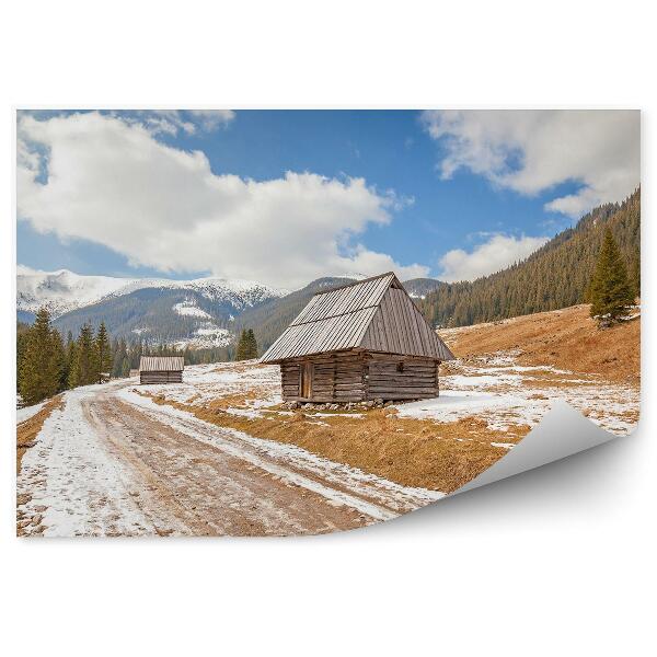 Fototapet Cabane de lemn, drum de pământ, Munții Tatra, natură