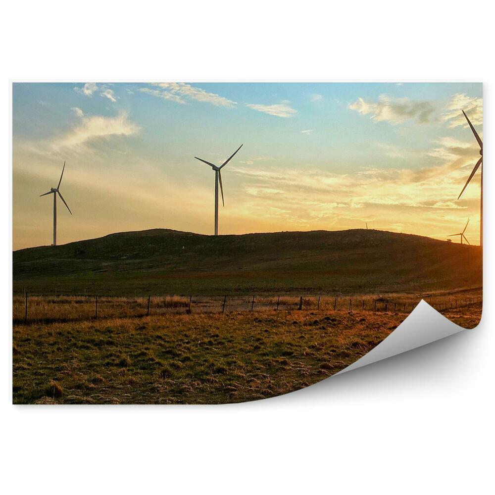 Decor fototapet Turbine De Moara De Vant Cer Nori Apus De Soare Munti Gard Iarba