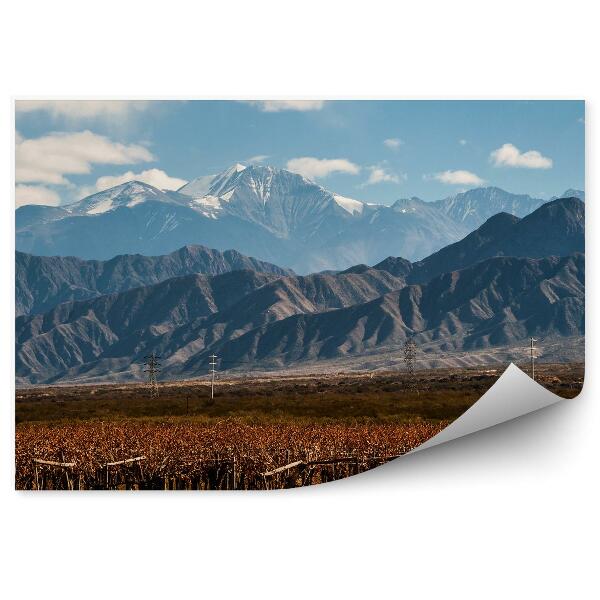 Fototapet perete Vulcanul Aconcagua Podgorie Argentina Cer Nori Ninsoare
