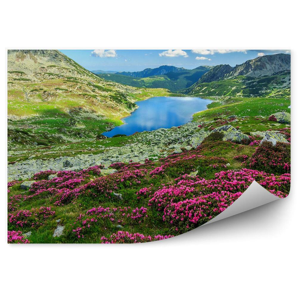 Decor fototapet Azalea flori munți iarbă lac cer nori