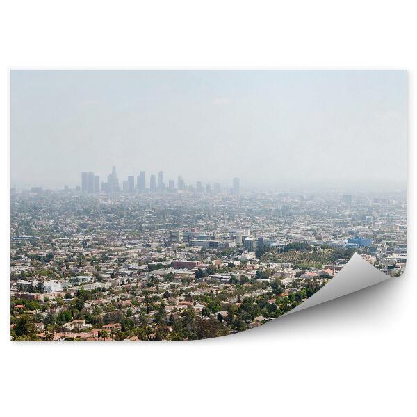 Fototapet pentru perete Vedere Aeriană A Arborilor Clădirilor Din Los Angeles