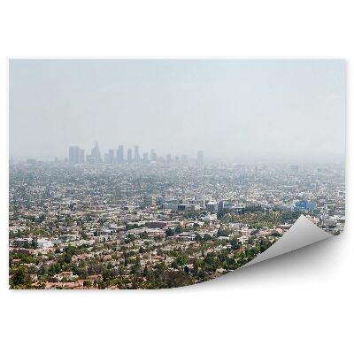 Fototapet pentru perete Vedere Aeriană A Arborilor Clădirilor Din Los Angeles