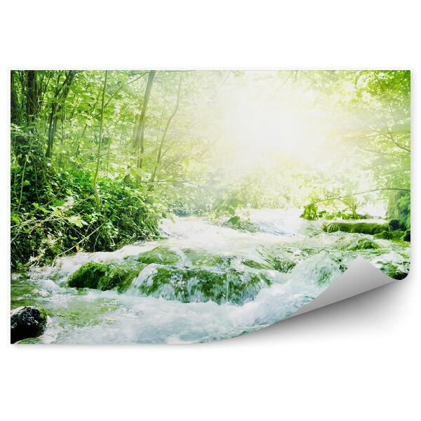 Decor fototapet Cascada Pădure Tropicală Apus De Soare