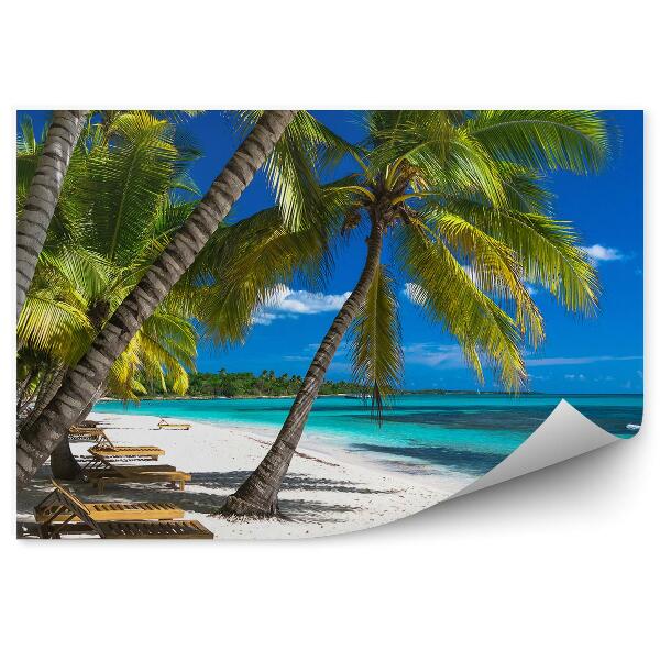 Decor fototapet Şezlonguri Printre Palmieri Turism La Marea Caraibelor