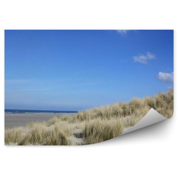 Decor fototapet Dune Oceanice Plajă Iarbă Terschelling Insula Cer Nori