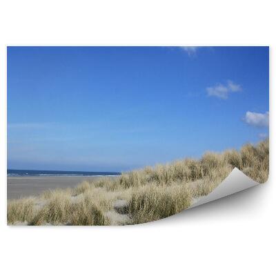 Decor fototapet Dune Oceanice Plajă Iarbă Terschelling Insula Cer Nori