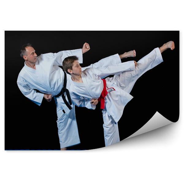 Fototapet pentru perete Karate de formare