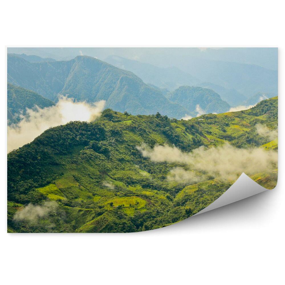 Fototapet pentru perete Peru Paduri Copaci Poieni Munti Nori
