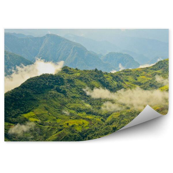 Fototapet pentru perete Peru Paduri Copaci Poieni Munti Nori