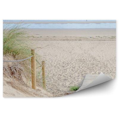 Fototapet perete Pier Plajă Iarbă Ocean Cer Nori