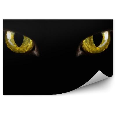 Fototapet perete Fundal Negru Ochi Galbeni Întuneric Întuneric Halloween