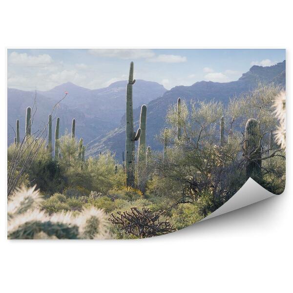 Fototapet Arizona Desert Tufișuri Cactuși Munți Cer Nori