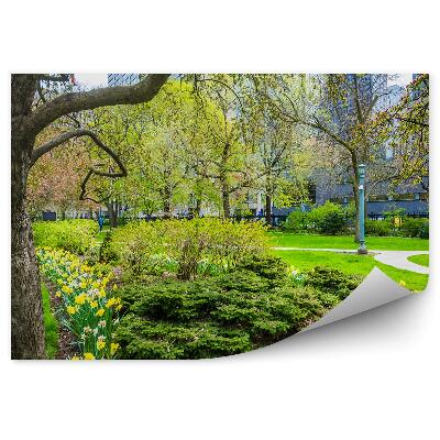 Fototapet perete Copaci, Grădini, Narcise, Flori, Parc Oraș