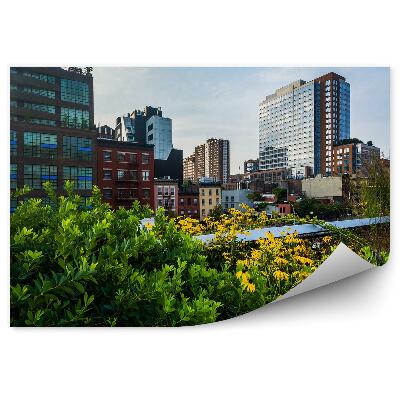 Fototapet vintage Zgârie-Nori Flori Plante New York Chelsea